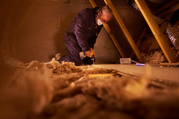 Best Insulation Maintenance and Repair in Dexter, NM